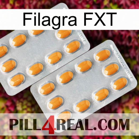 Filagra FXT cialis4.jpg